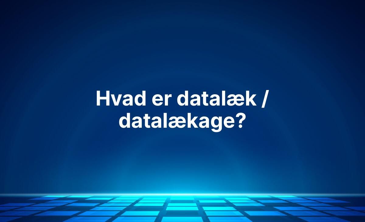 Forklaring på hvad datalæk / datalækage er