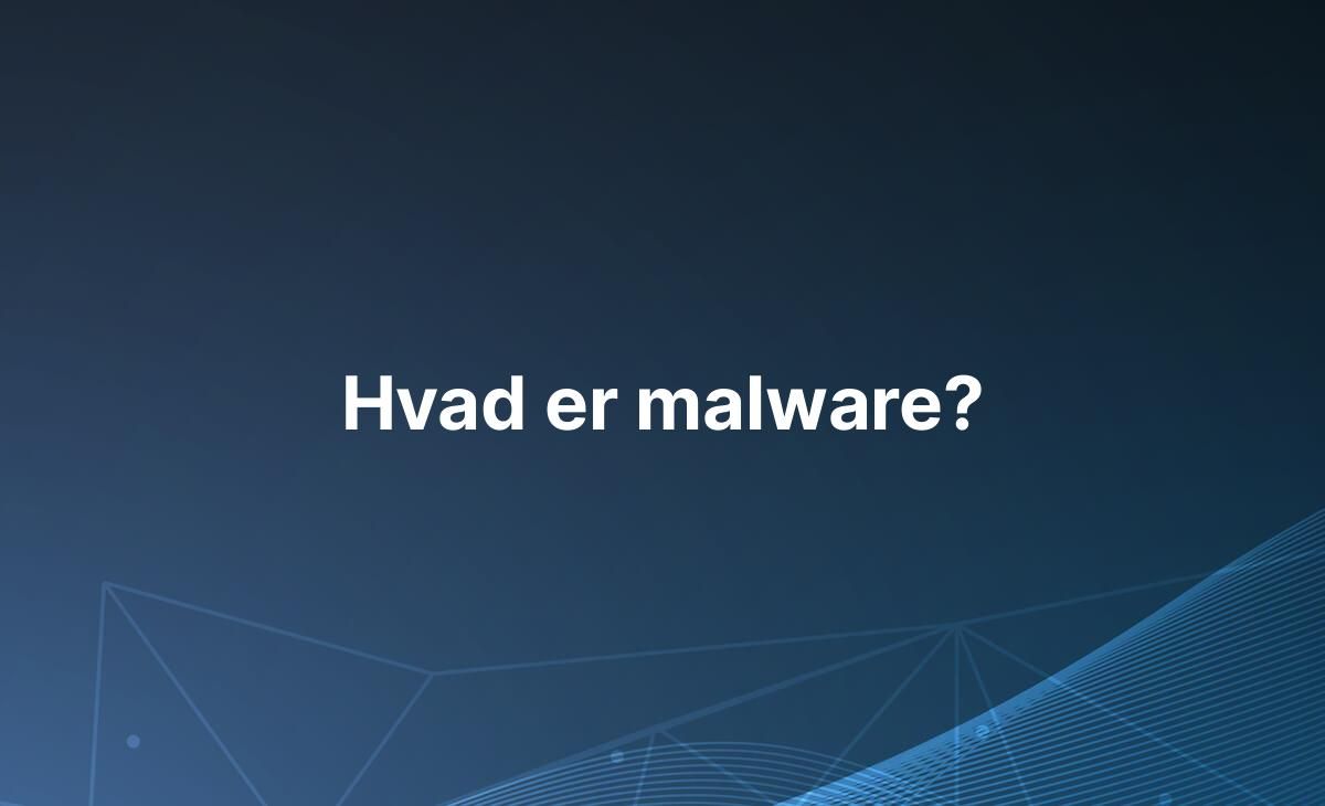Forklaring på hvad malware er