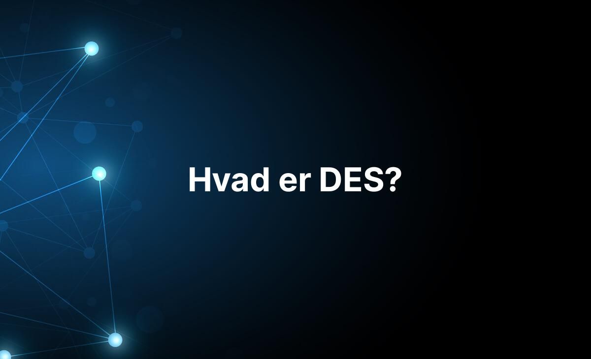 Forklaring på hvad DES er