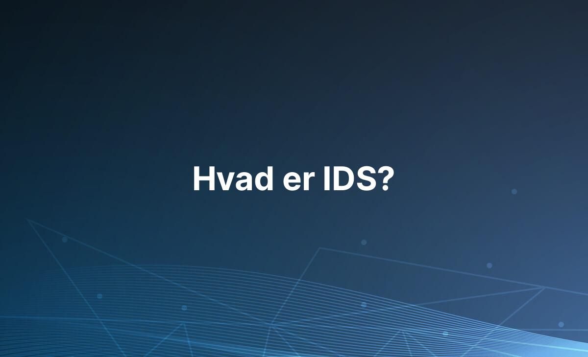 Forklaring på hvad IDS er
